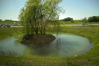 福壽池 Bliss & Longevity Pond